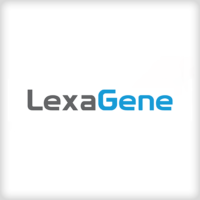 lex-2
